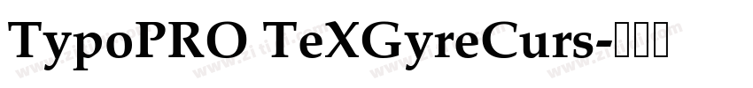 TypoPRO TeXGyreCurs字体转换 TypoPRO TeXGyreCurs字体转换